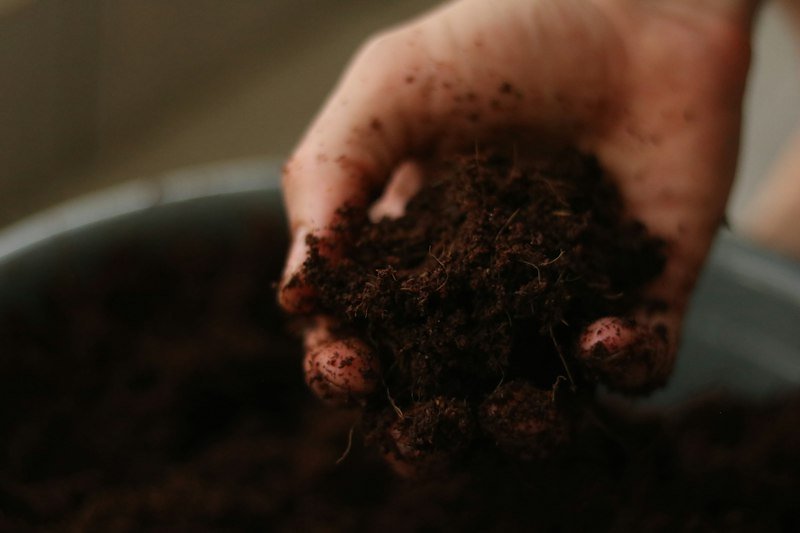 Checking soil moisture by hand