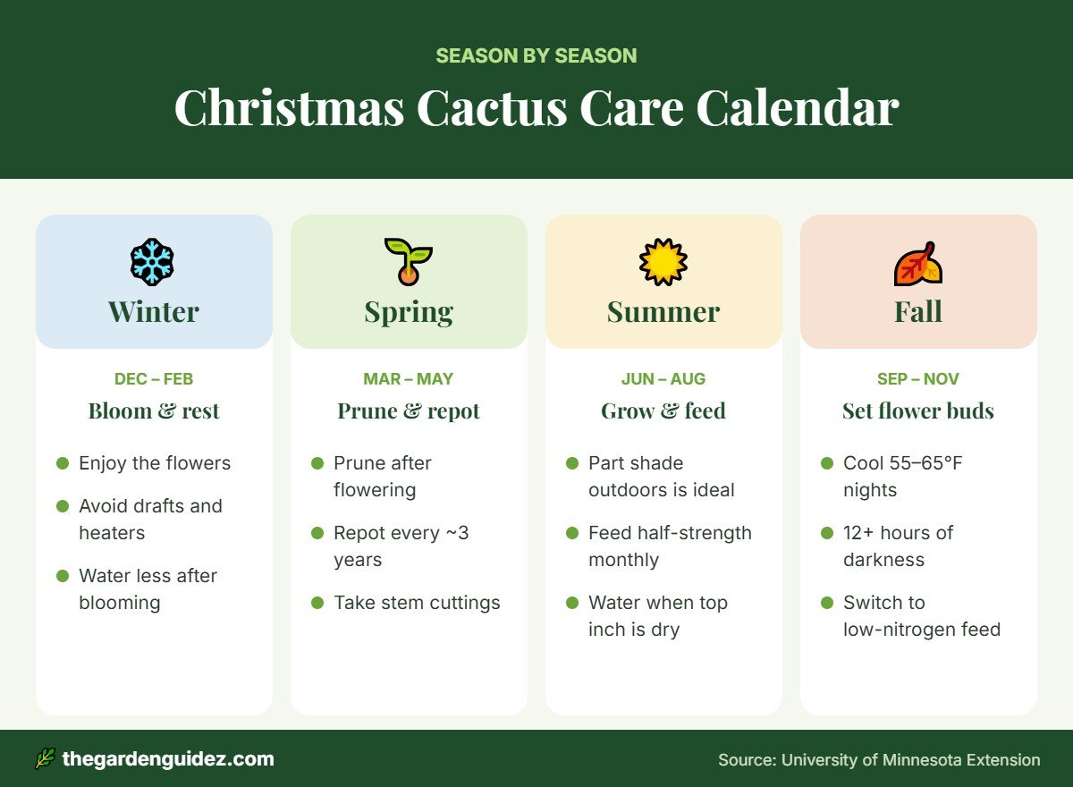 Christmas cactus seasonal care calendar for winter, spring, summer and fall