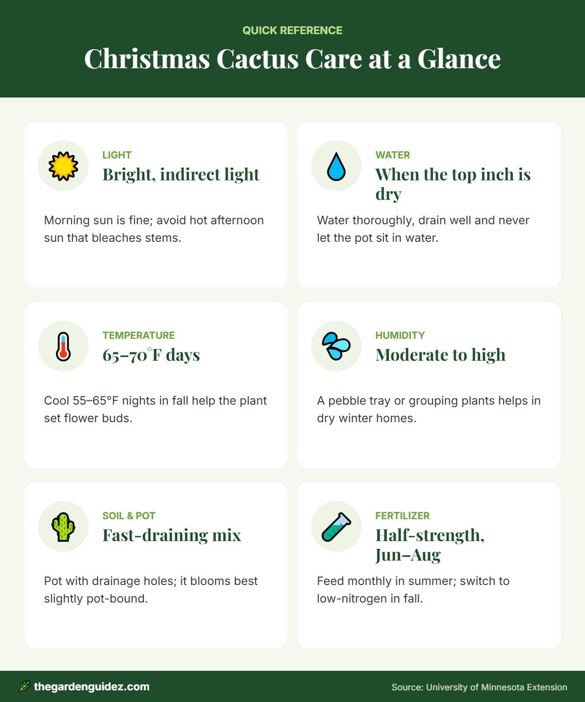 Christmas cactus care infographic: light, water, temperature, humidity, soil and fertilizer