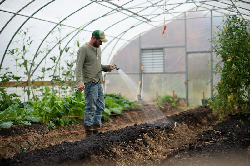 Gardener tending plants in a greenhouse