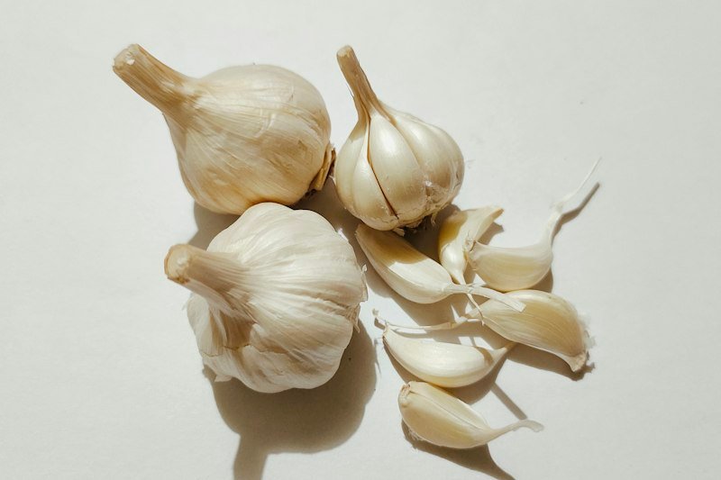 Garlic bulbs and cloves ready for planting