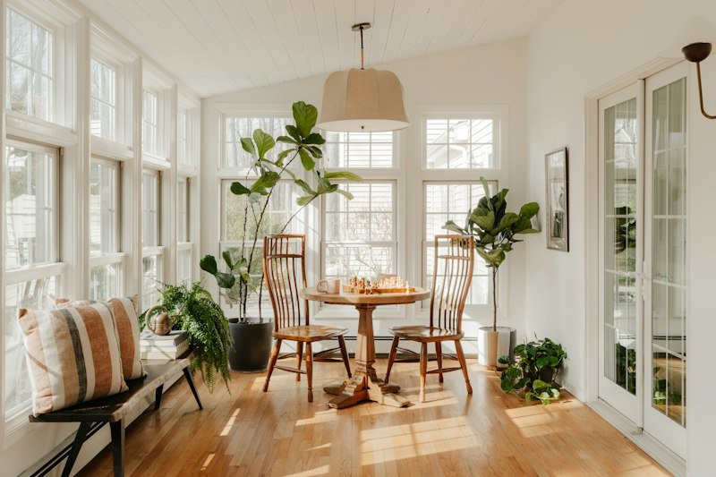 Houseplants growing in a bright sunroom
