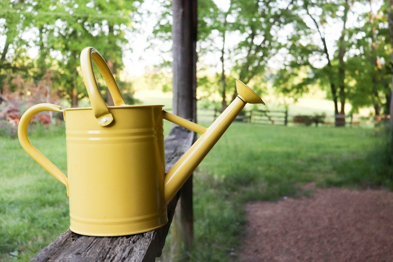 Yellow watering can in the garden