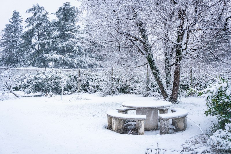 Snow-covered garden in a cold USDA zone 3 winter